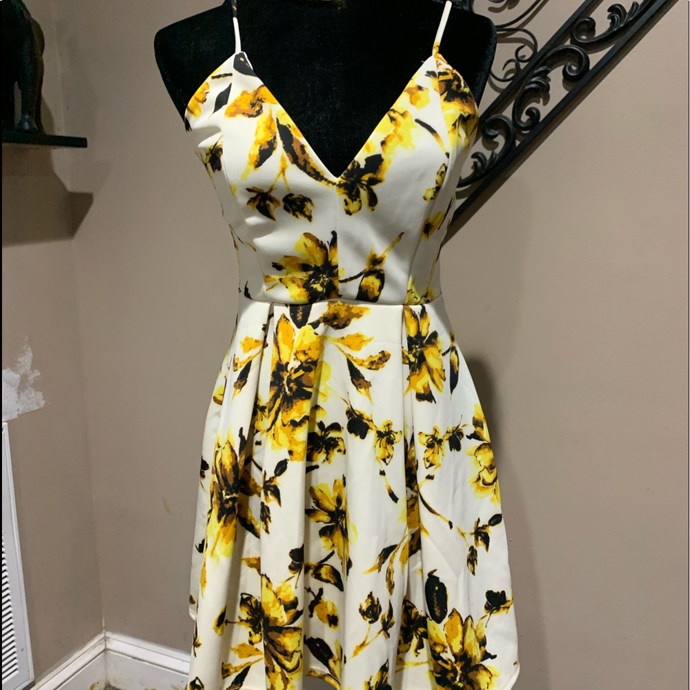 NWT Fashion Nova Dress!